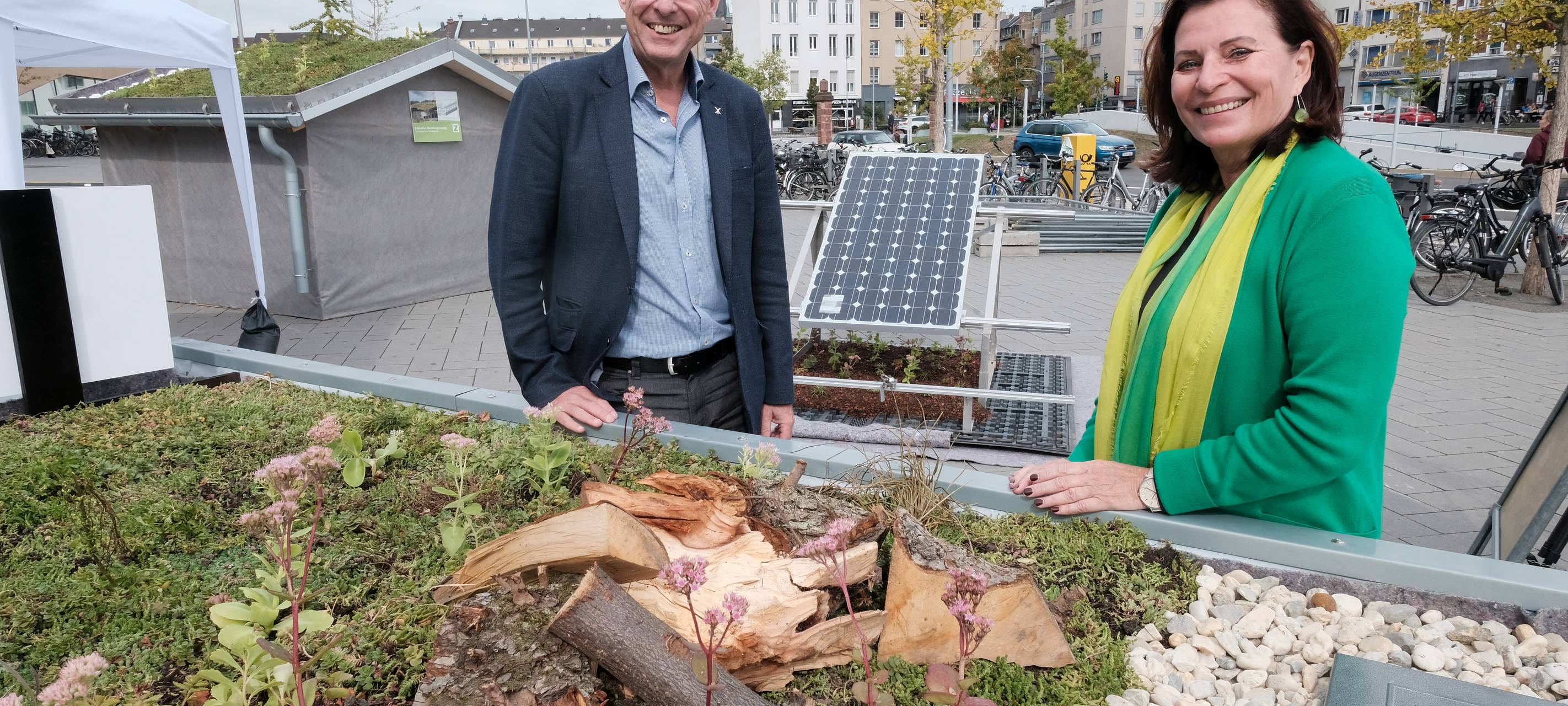 Düsseldorf: Seminar zur Dachbegrünung