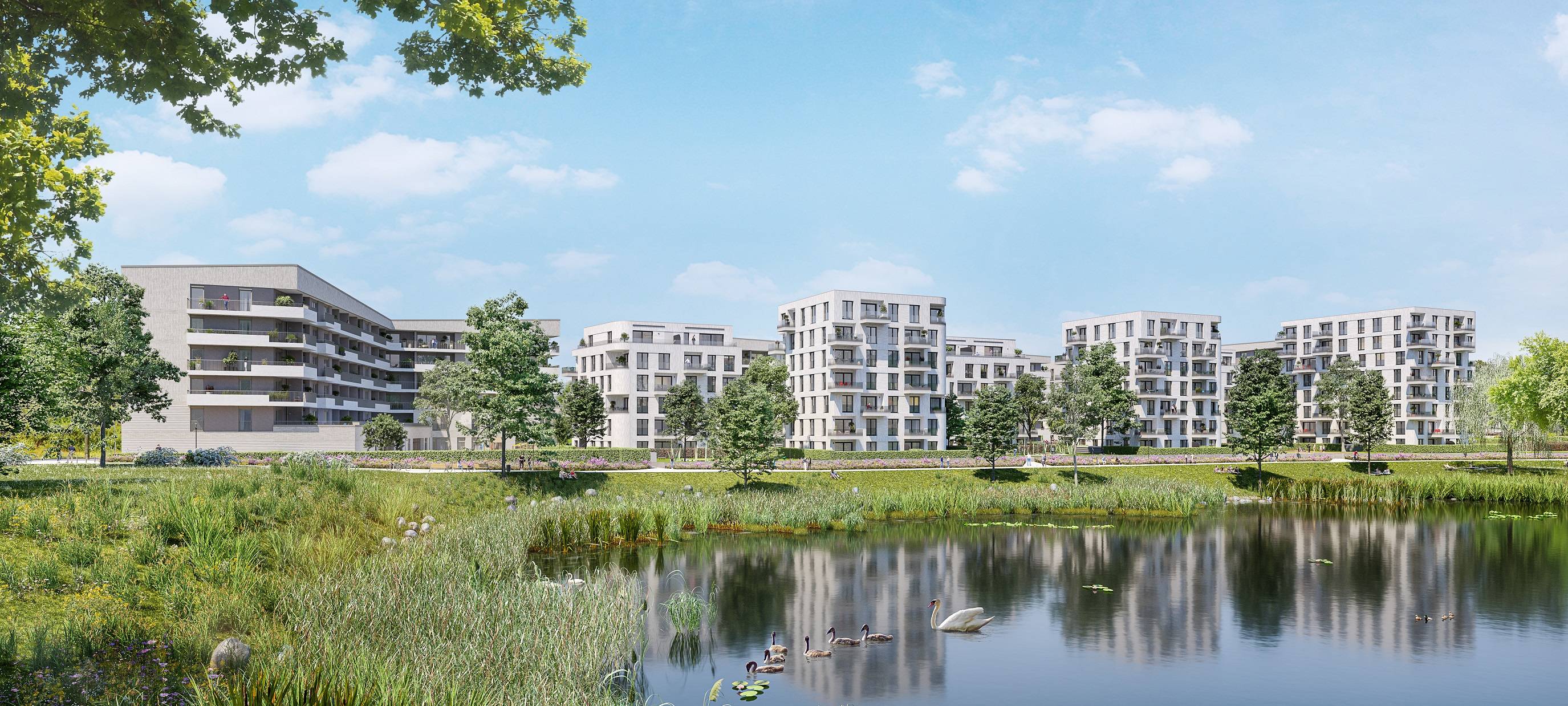 Eigentumswohnungen in Düsseldorf immer teurer