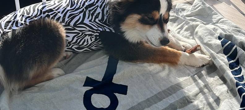 Tagebucheintrag vom 14. Februar 2022