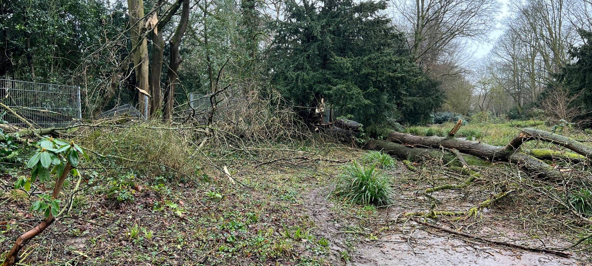 Düsseldorf: Sturm hat Feuerwehr auf Trapp gehalten