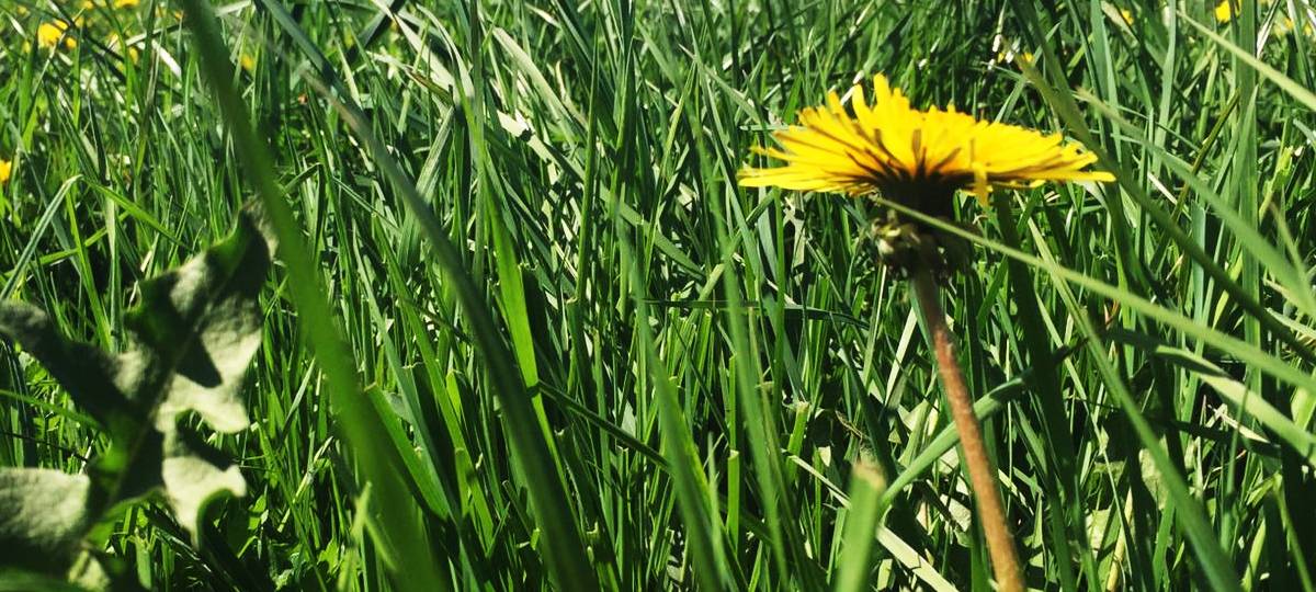 Düsseldorf - Protest gegen geplantes Wohnviertel