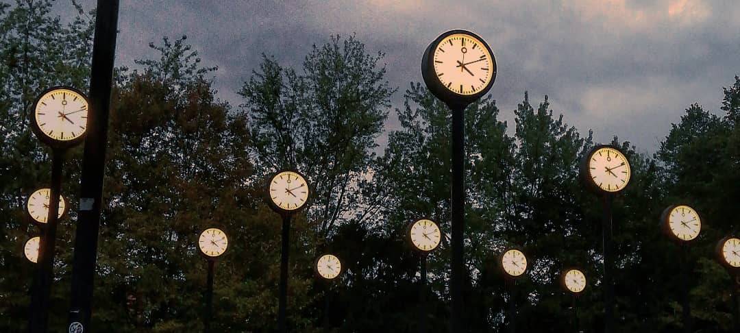 Düsseldorfer Parks: Foodtrucks gesucht