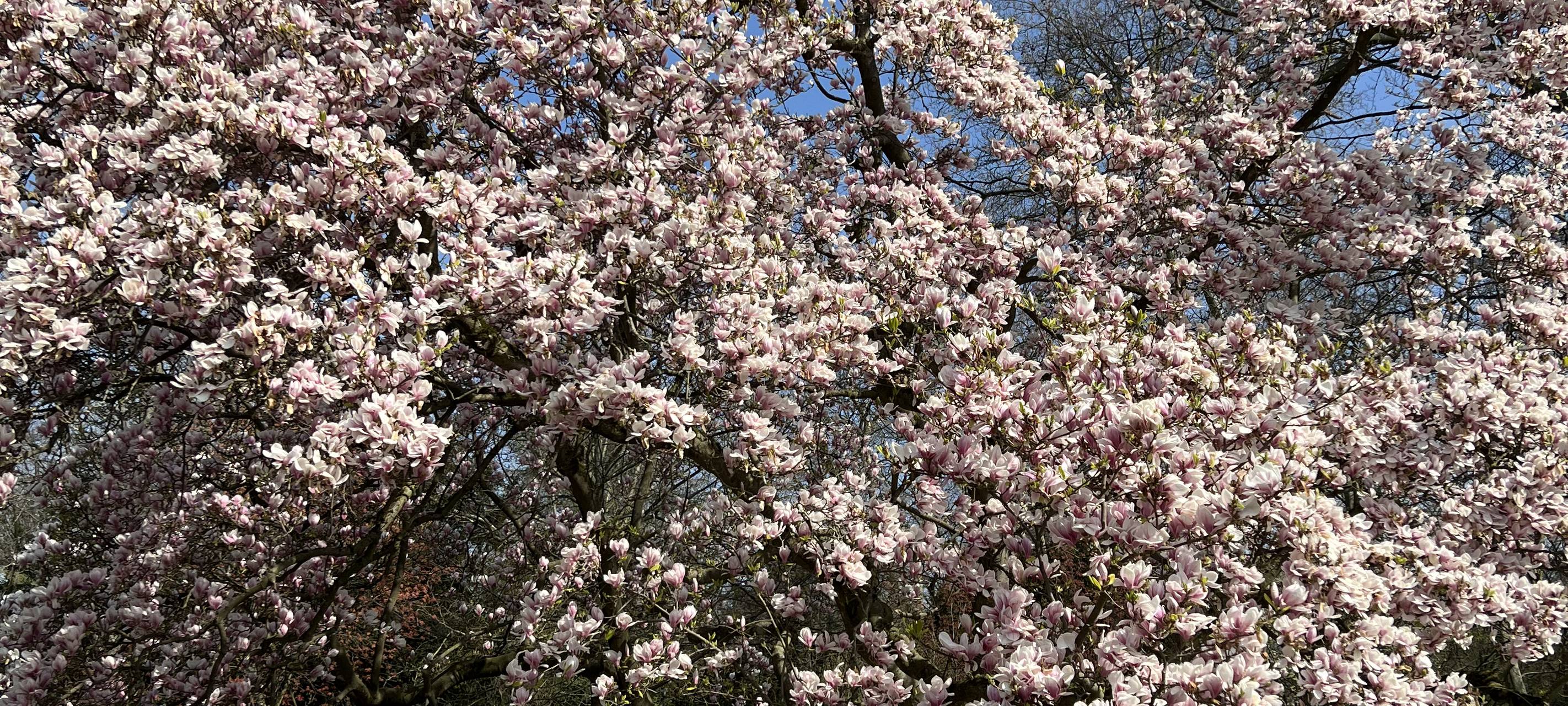 Oberbilk: Ein Stadtteil voller Vielfalt und Leben