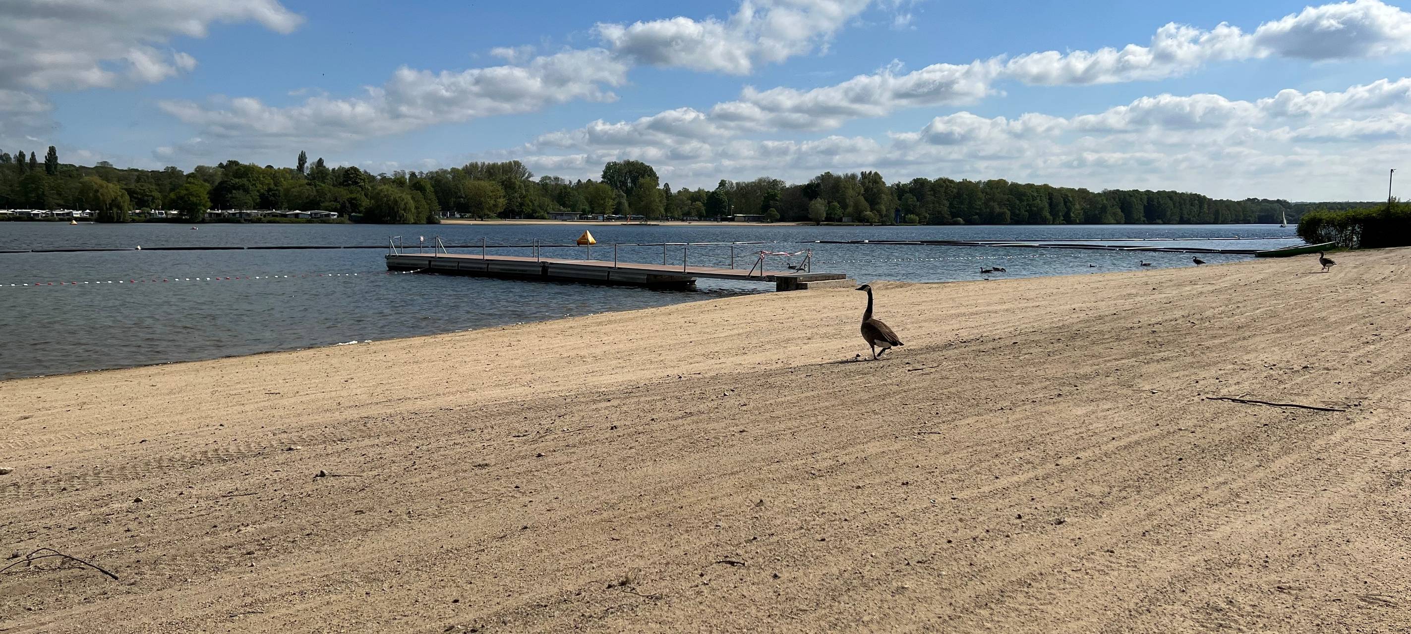 Düsseldorf: Schwimmsaison am U-See startet