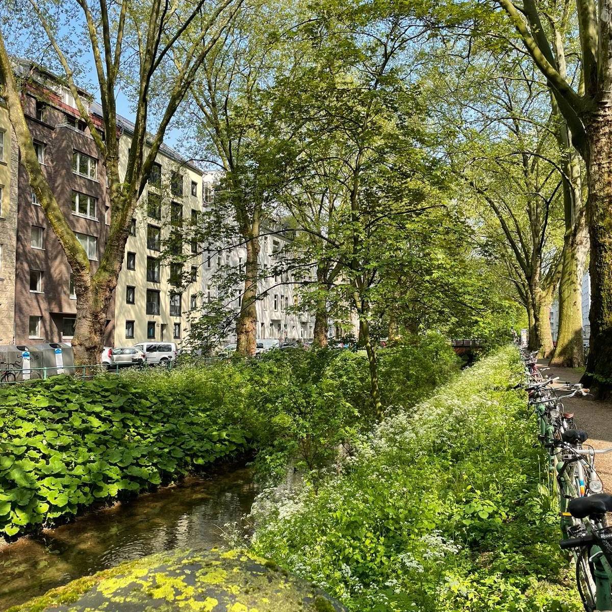 BauBoom in und um DüsseldorfBilk Antenne Düsseldorf