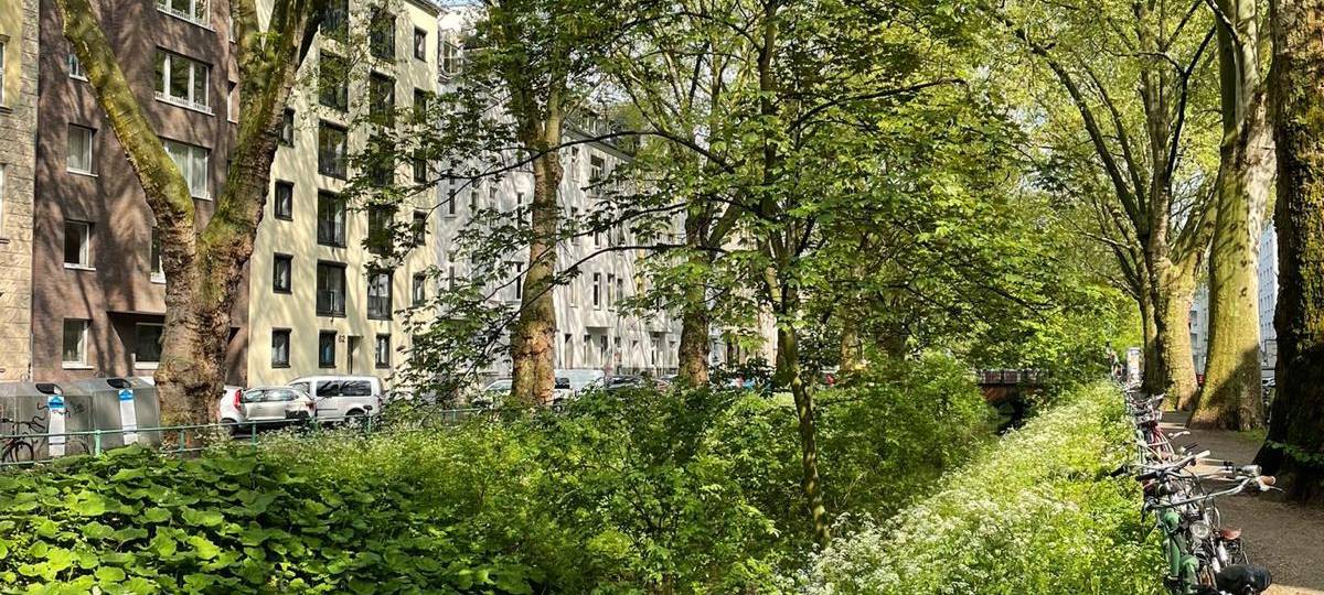 Bau-Boom in und um Düsseldorf-Bilk