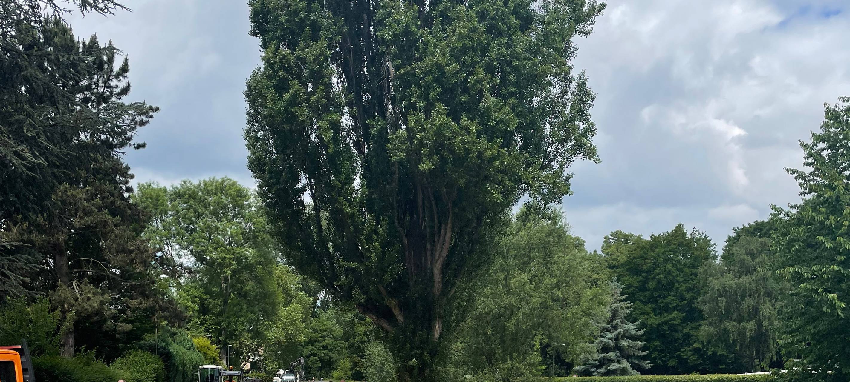 Düsseldorf - Provisorischer Hochwasserschutz in der Ostparksiedlung