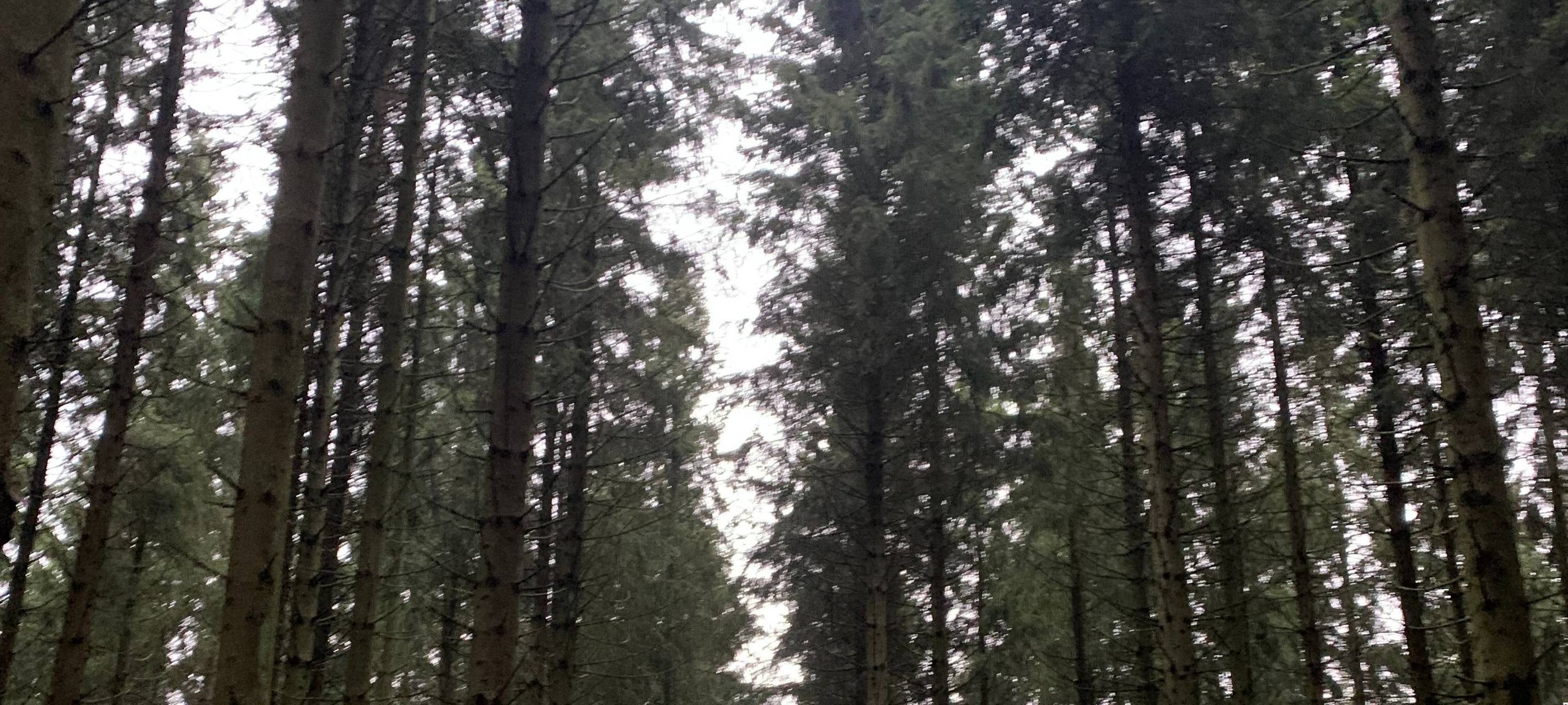 Sommerurlaub 2022: So kann man beim Reisen auf Nachhaltigkeit achten