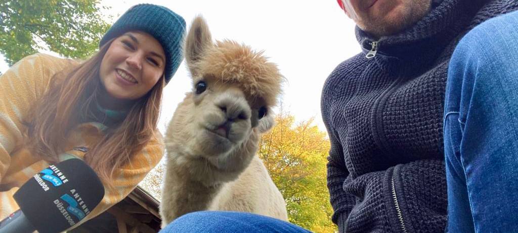 "Zu Besuch": Alina, Dennis & die Alpakas