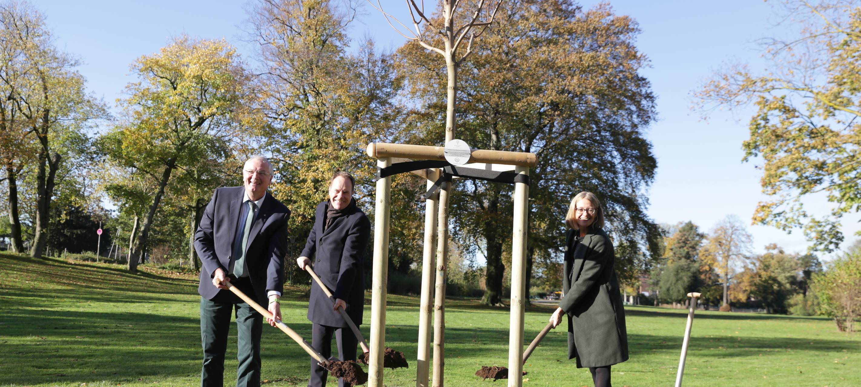 Düsseldorf: Neuer Spitzahorn zu Ehren der Queen