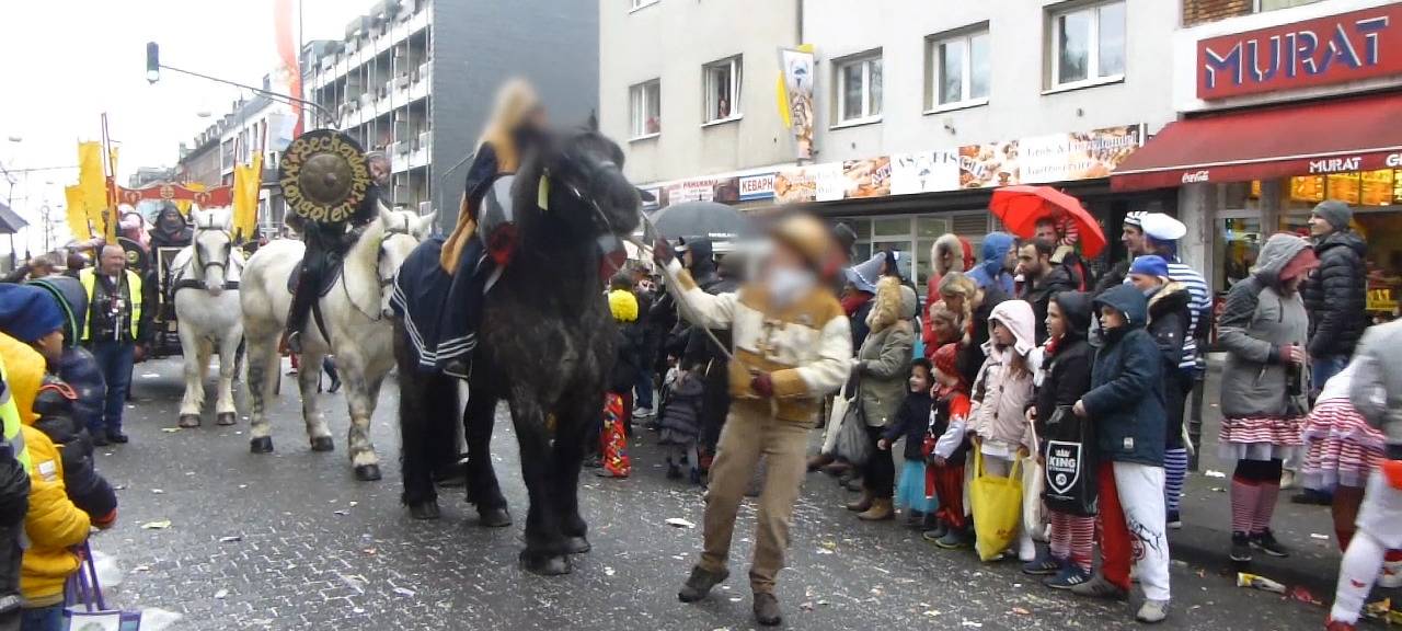 Düsseldorf: PETA-Protest an Rosenmontag