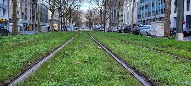 Düsseldorf: Warnstreik legt Bahn- und Luftverkehr am Montag lahm