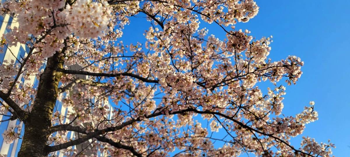 Events am Wochenende (17. bis 19. April 2026)