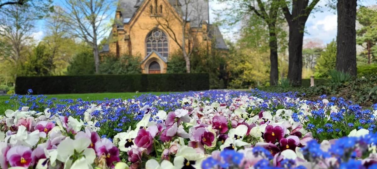 Eine bunte Blumenwiese auf dem Nordfriedhof. Im Hintergrund sind Bäume und eine große Kapelle zu sehen.