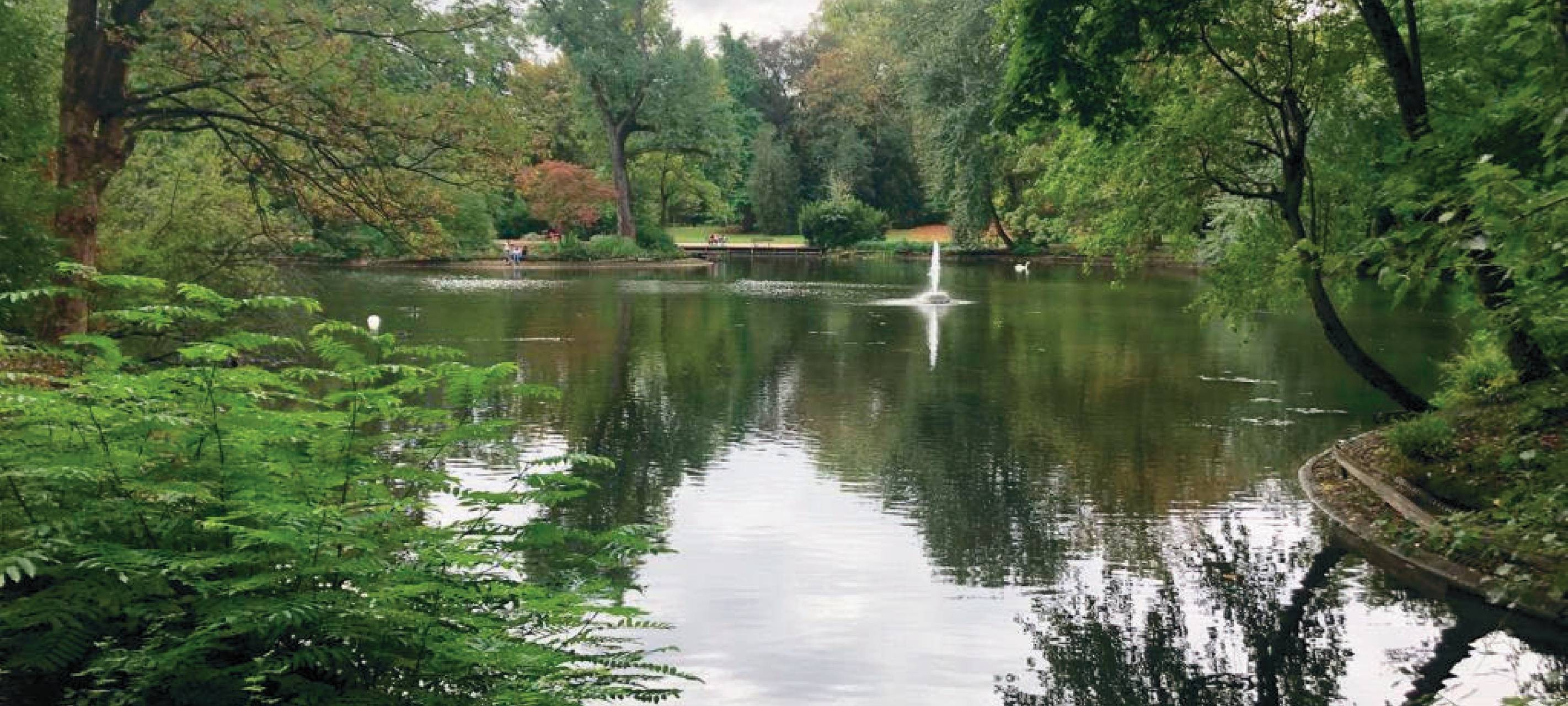 Düsseldorf: Laufen gegen Hunger