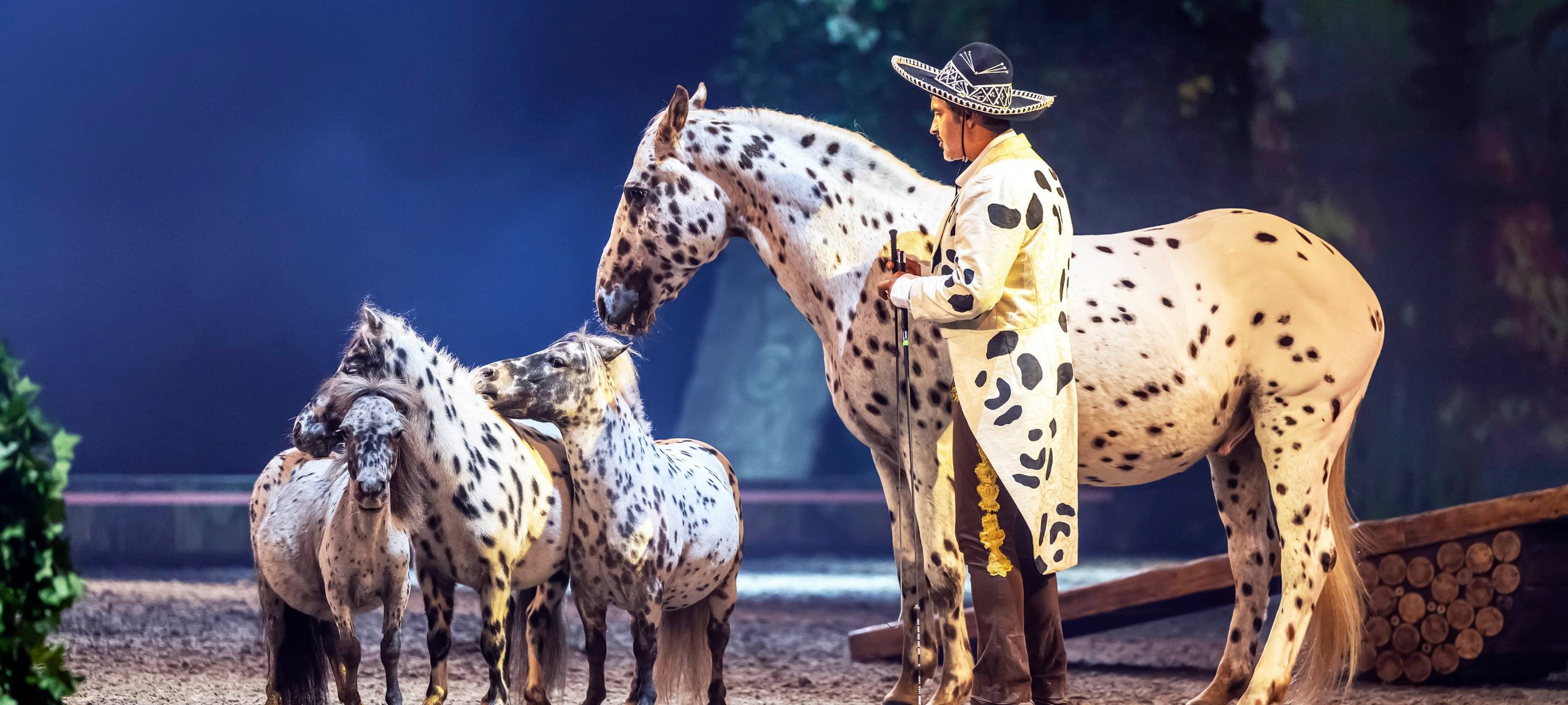 Pferde in einer Mange bei der Show CAVALLUNA.