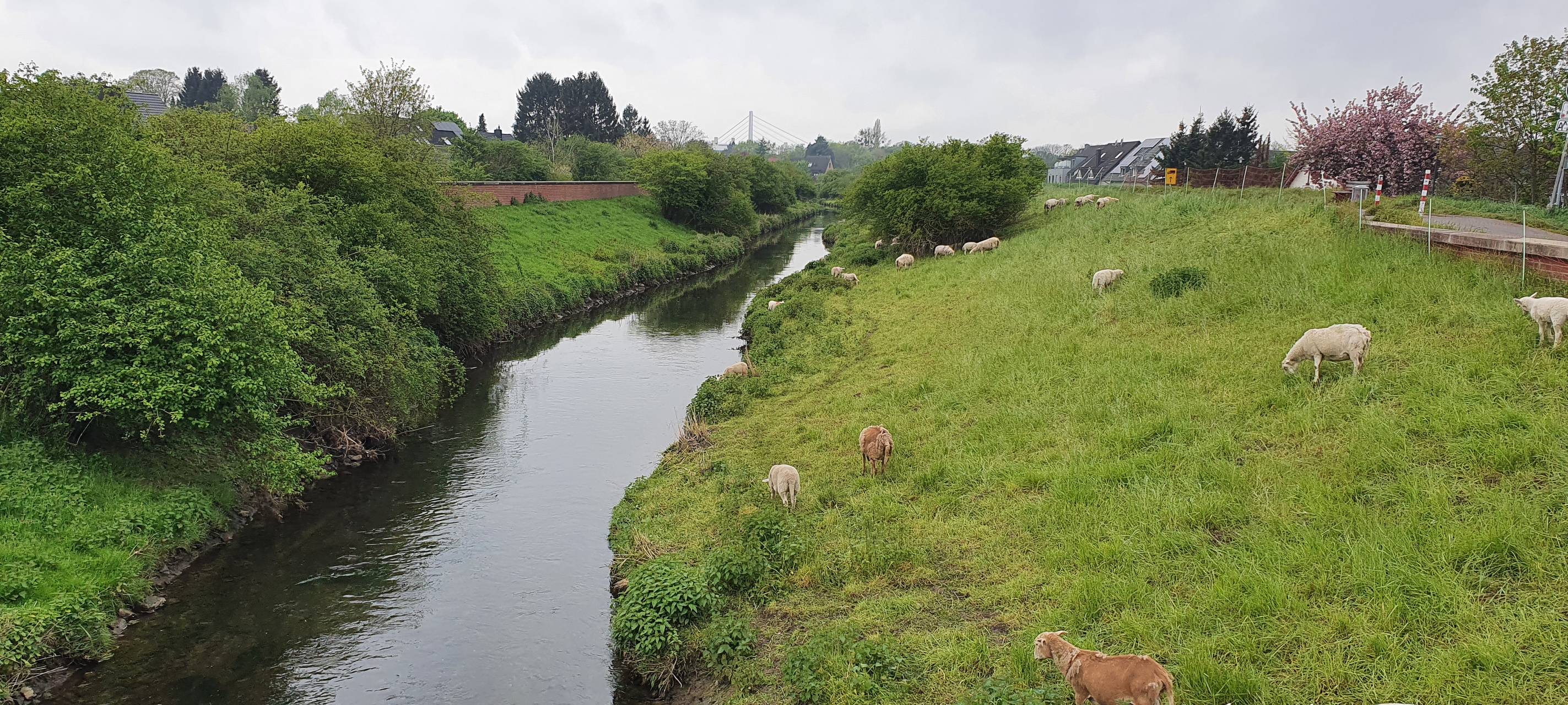 Wersten: Ein Stadtteil mit Herz und Grünflächen