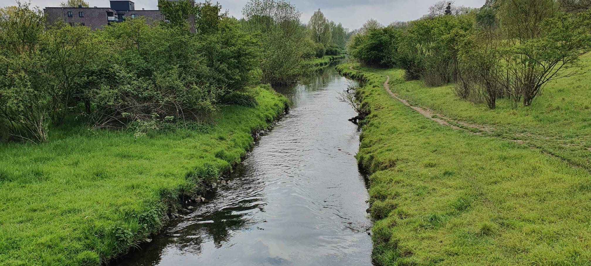 Der Brückerbach schlängelt sich durch Wersten.