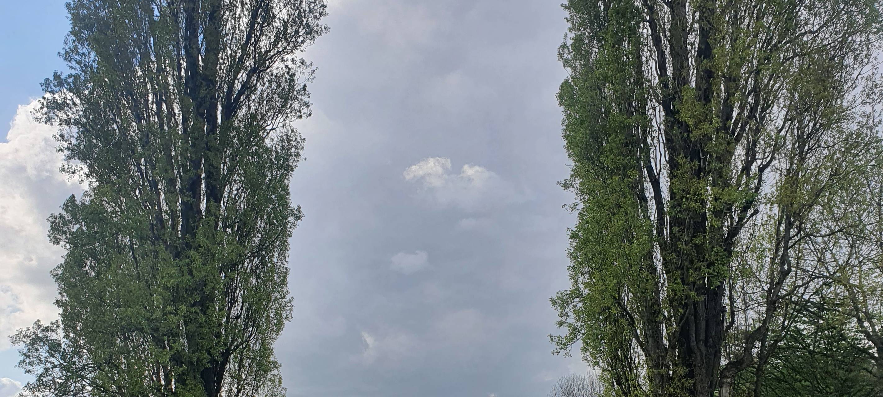 Wersten: Ein Stadtteil mit Herz und Grünflächen