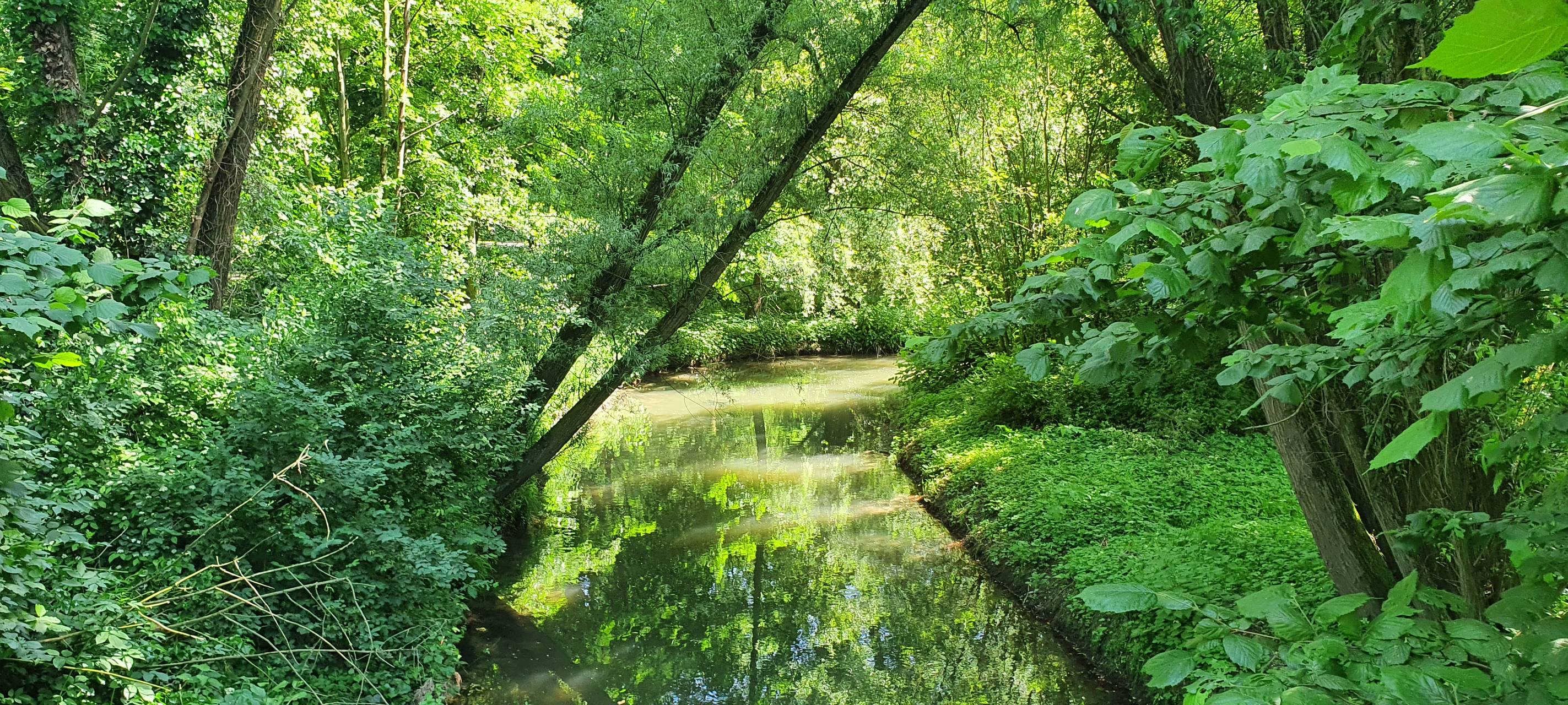 Unterrath: Ruhiges Wohnen und grüne Oasen