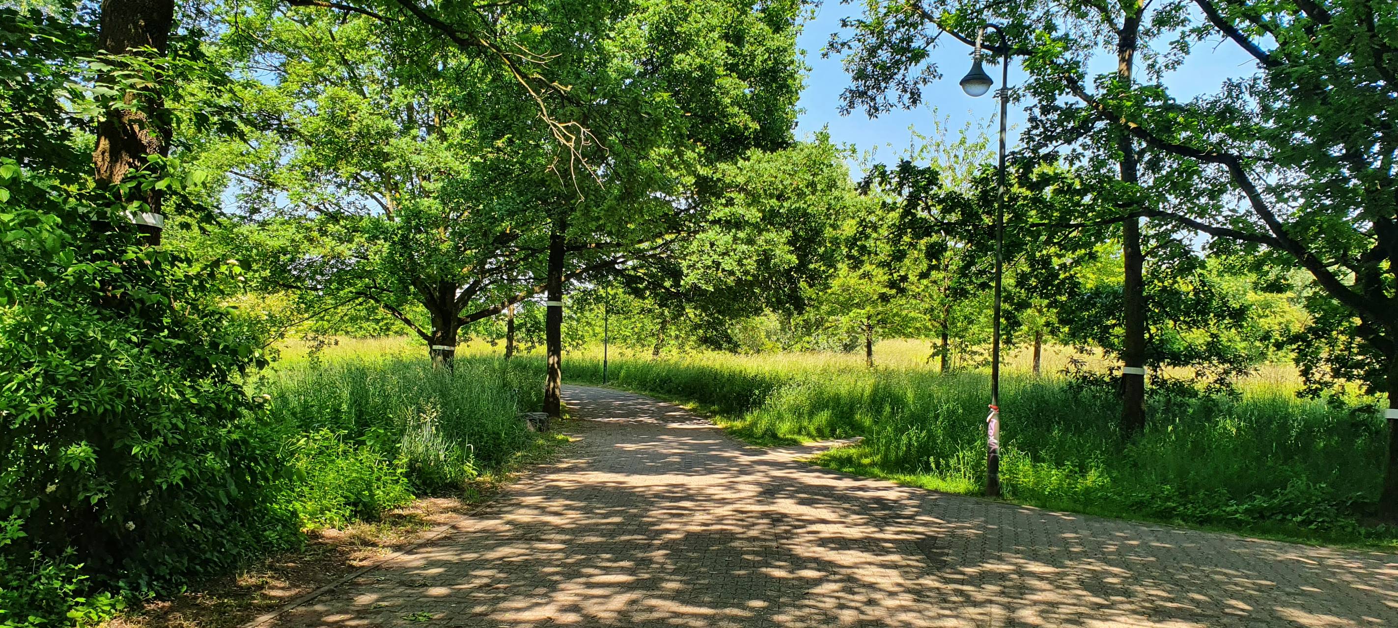Unterrath: Ruhiges Wohnen und grüne Oasen