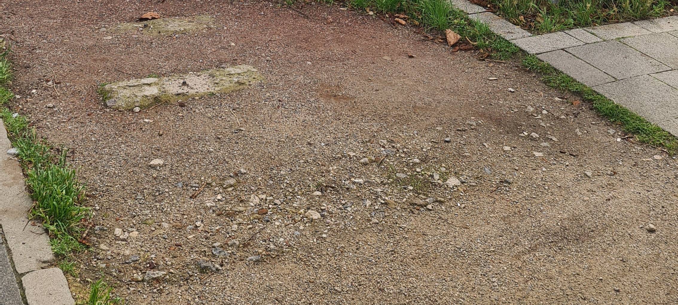 Düsseldorf-Oberkassel: Weitere Umfrage zur Luegallee