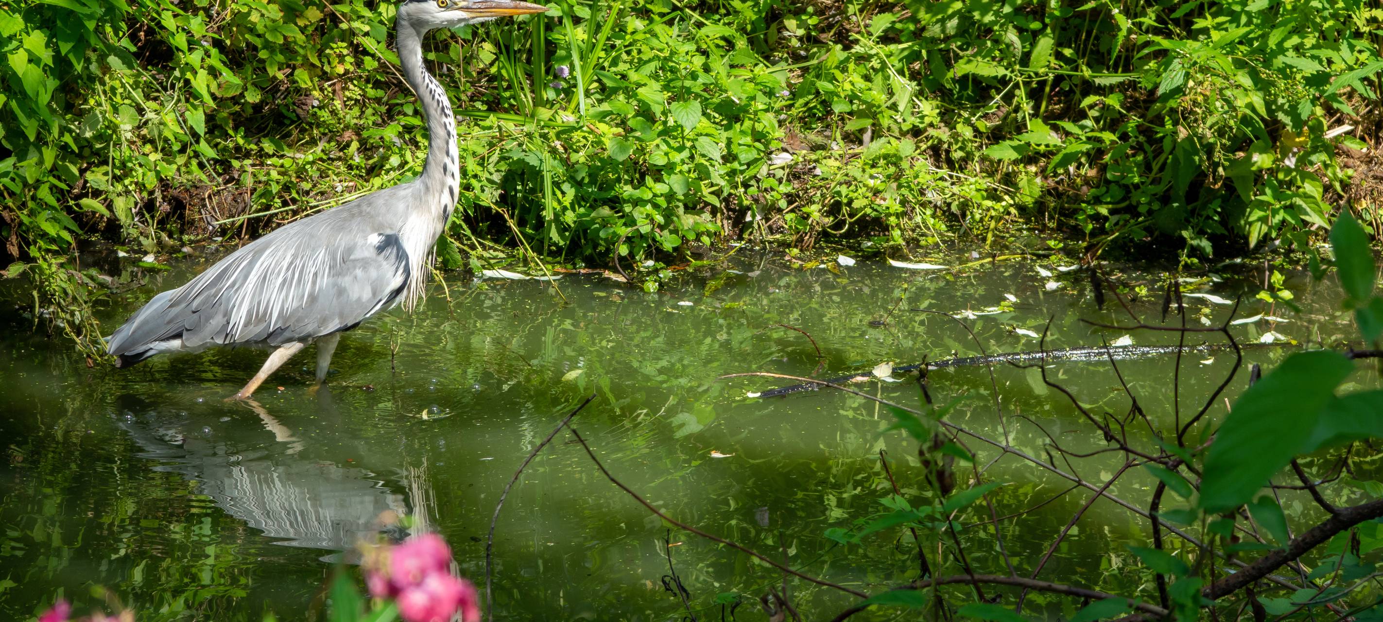 Bewerbungsphase für Düsseldorfer Umweltpreis startet