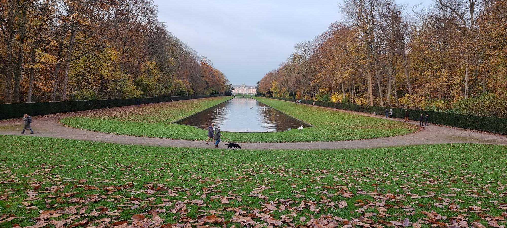 Der Benrather Schlosspark. Weit im Hintergrund ist das Benrather Schloss zu erkennen.