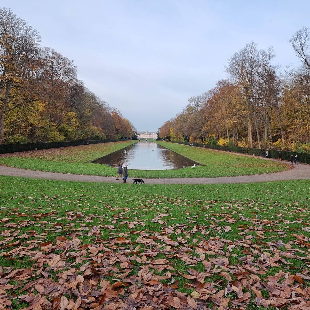 Der Benrather Schlosspark. Weit im Hintergrund ist das Benrather Schloss zu erkennen.