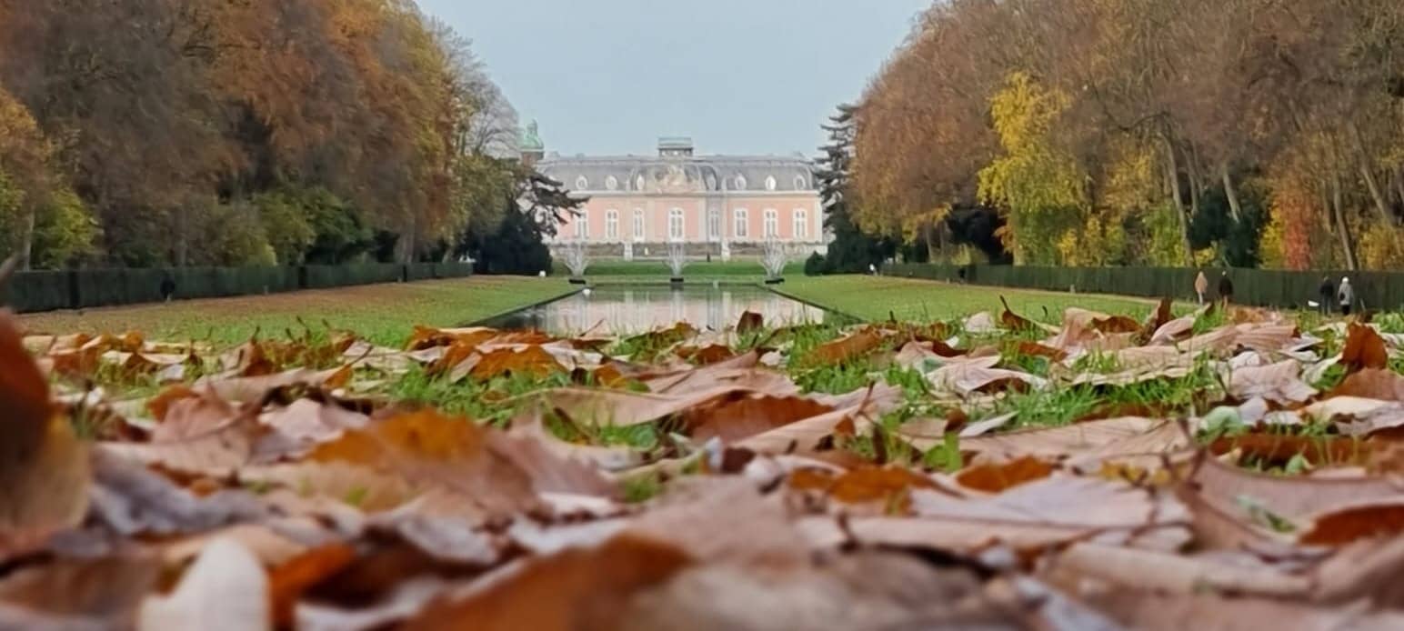 Herbstlaub im Schlosspark Benrath. Im Hintergrund ist das Schloss zu erkennen.
