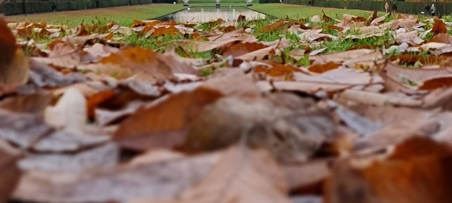 ADFC Düsseldorf: Sicher Radfahren im Herbst