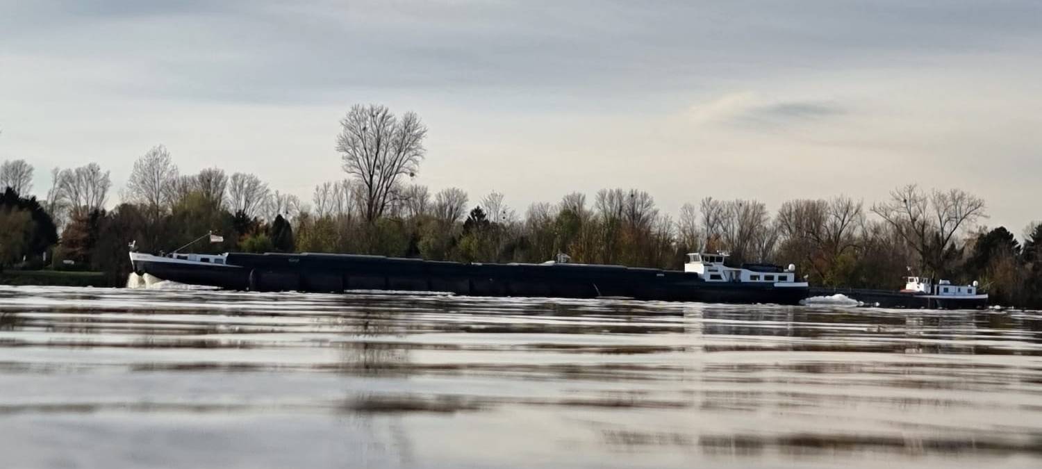 Der Blick auf die Oberfläche des Rheins bei Hochwasser. Im Hintergrund fährt ein langes Schiff.