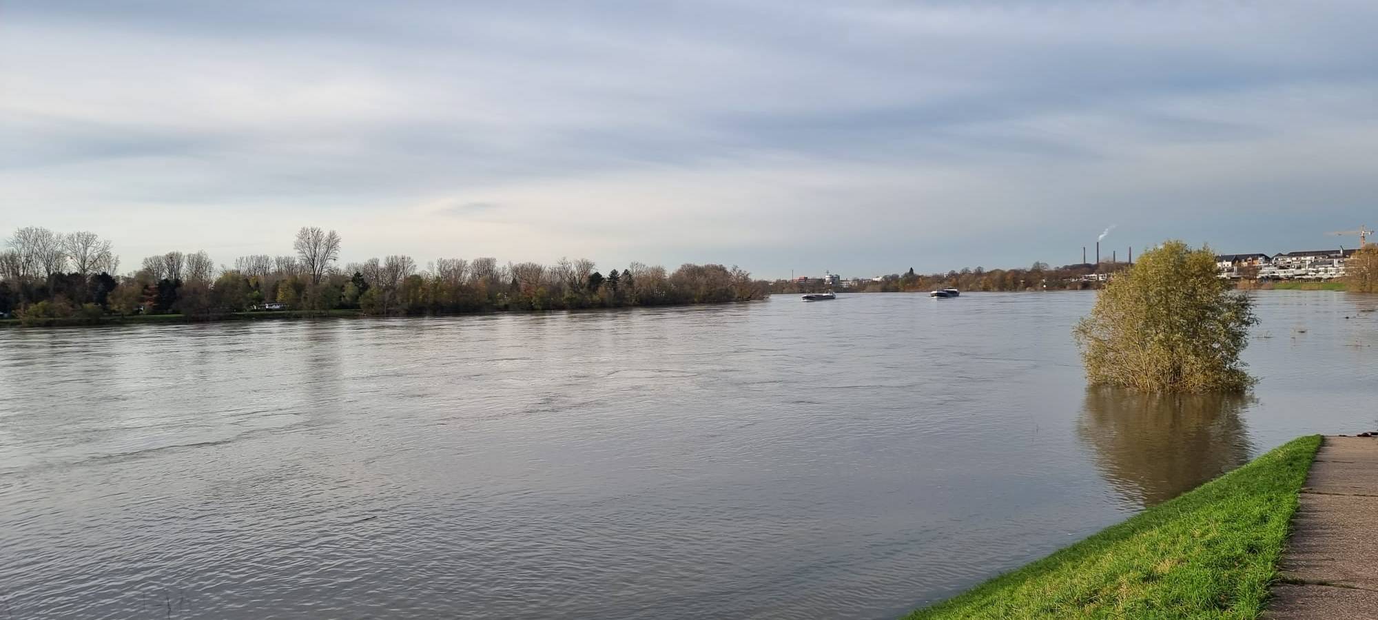 Sanierung des Lohauser Deichs: Pläne und Herausforderungen