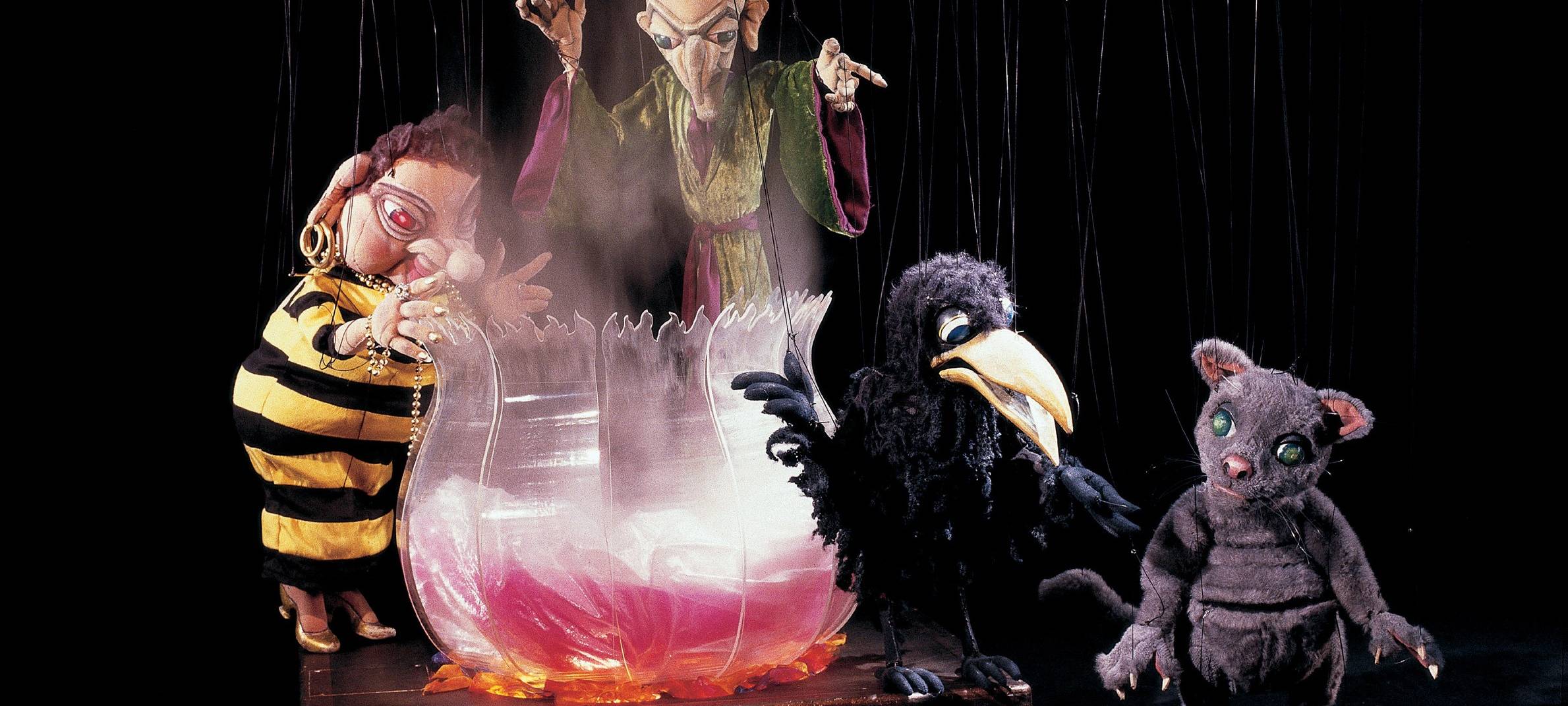 1. Dezember 2023: Der Wunschpunsch