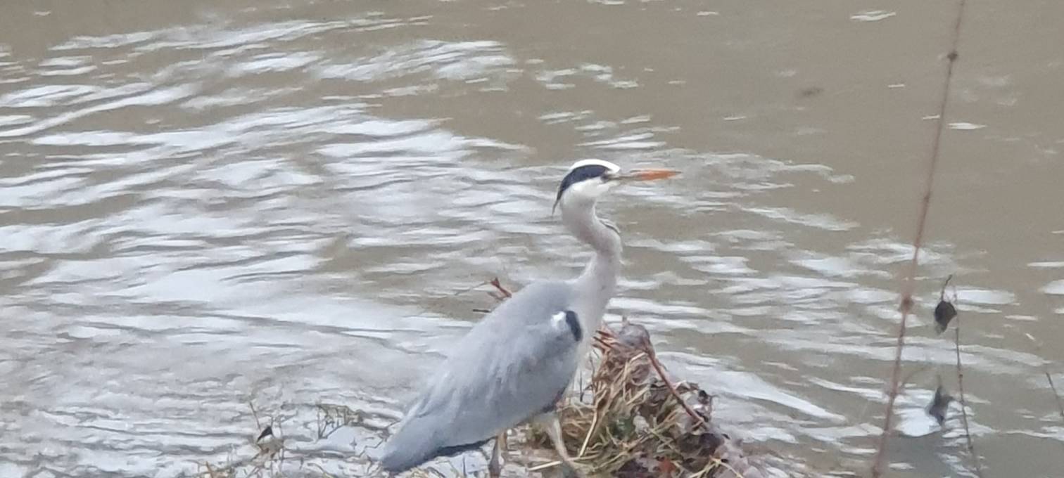 "Unterwegs im Grünen" startet
