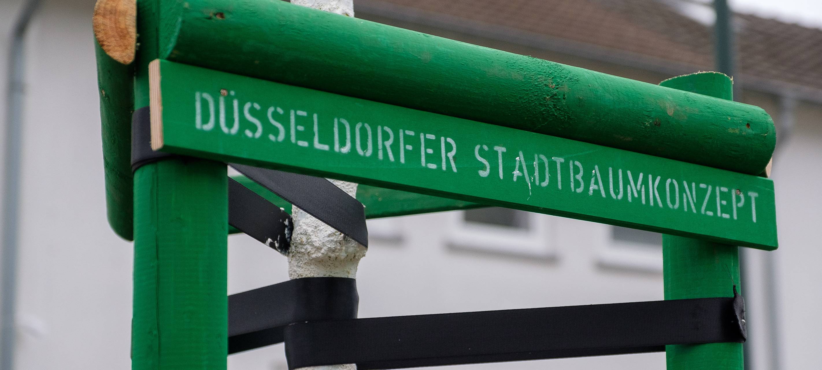 Neue Bäume für Düsseldorf. Ein grüner Hinweis auf das Stadtbaumkonzept an einem neu gepflanzten Baum.