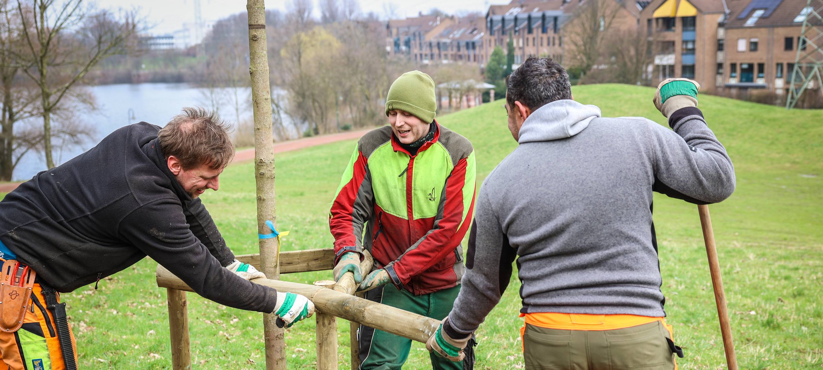 Düsseldorf: neue Obstbäume für den Südpark