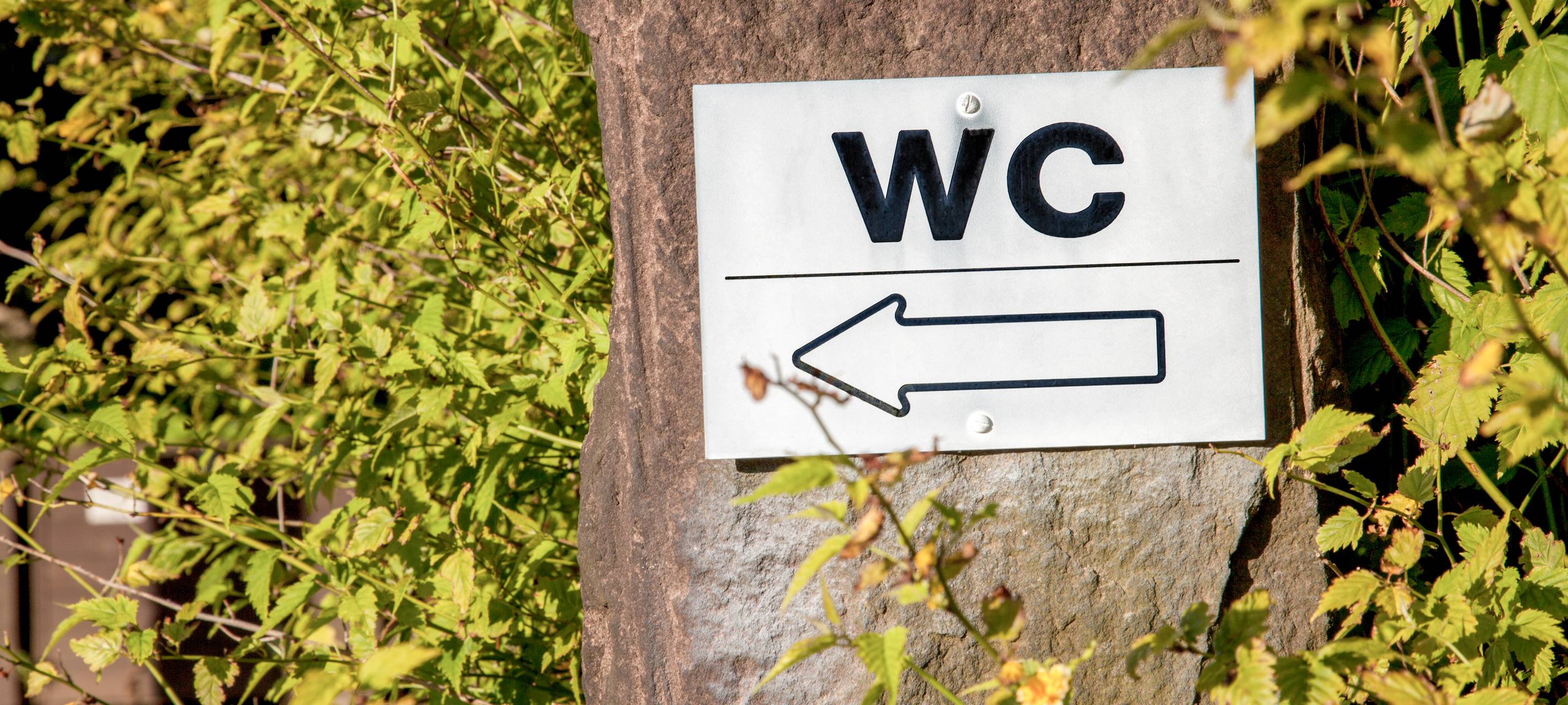 Stadt plant weitere öffentliche Toiletten
