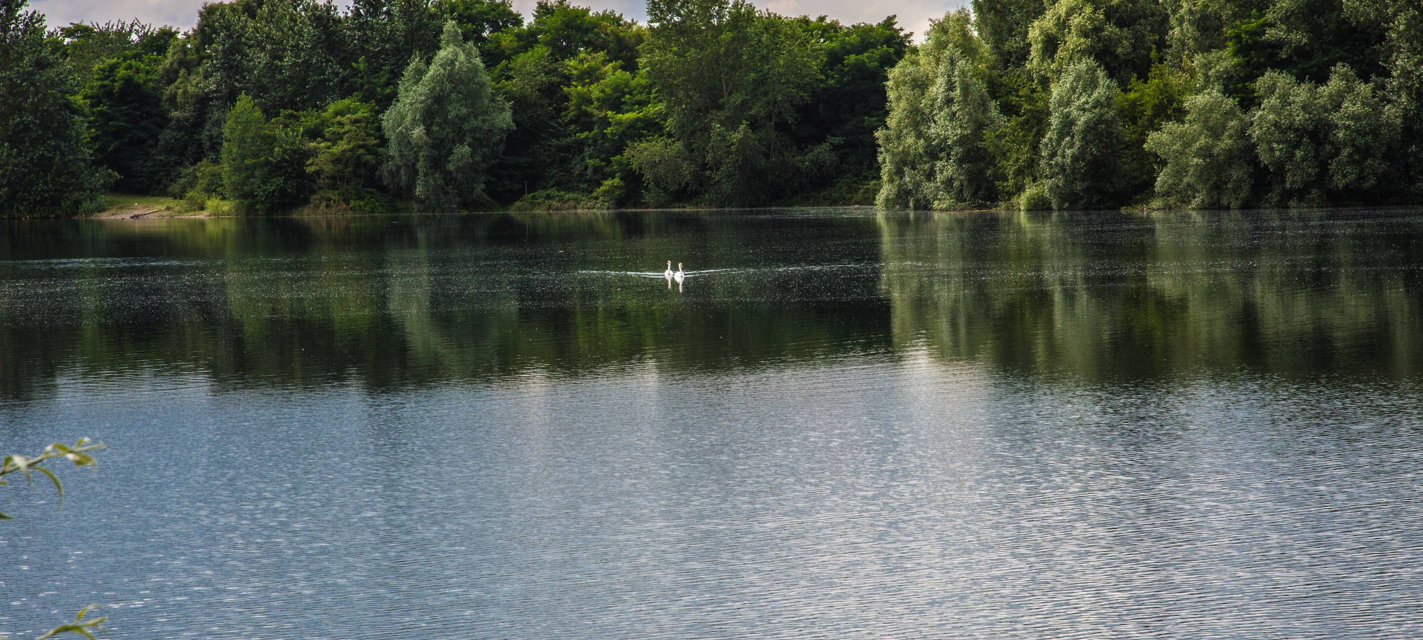 Düsseldorf: Wie geht's weiter mit dem Angermunder See?