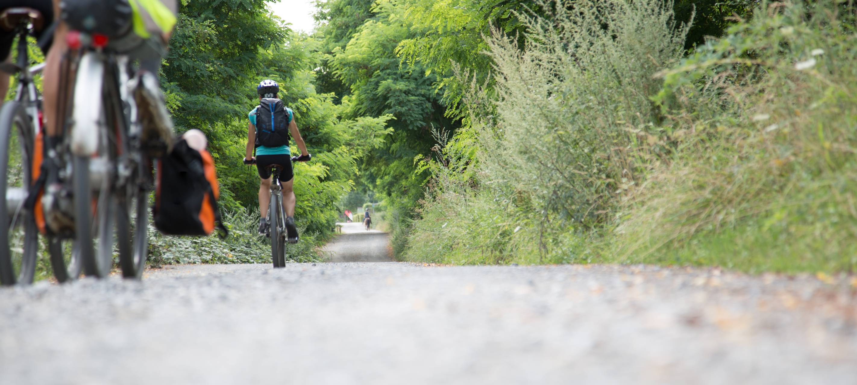 Düsseldorf radelt über 1.262.000 Kilometer beim Stadtradeln