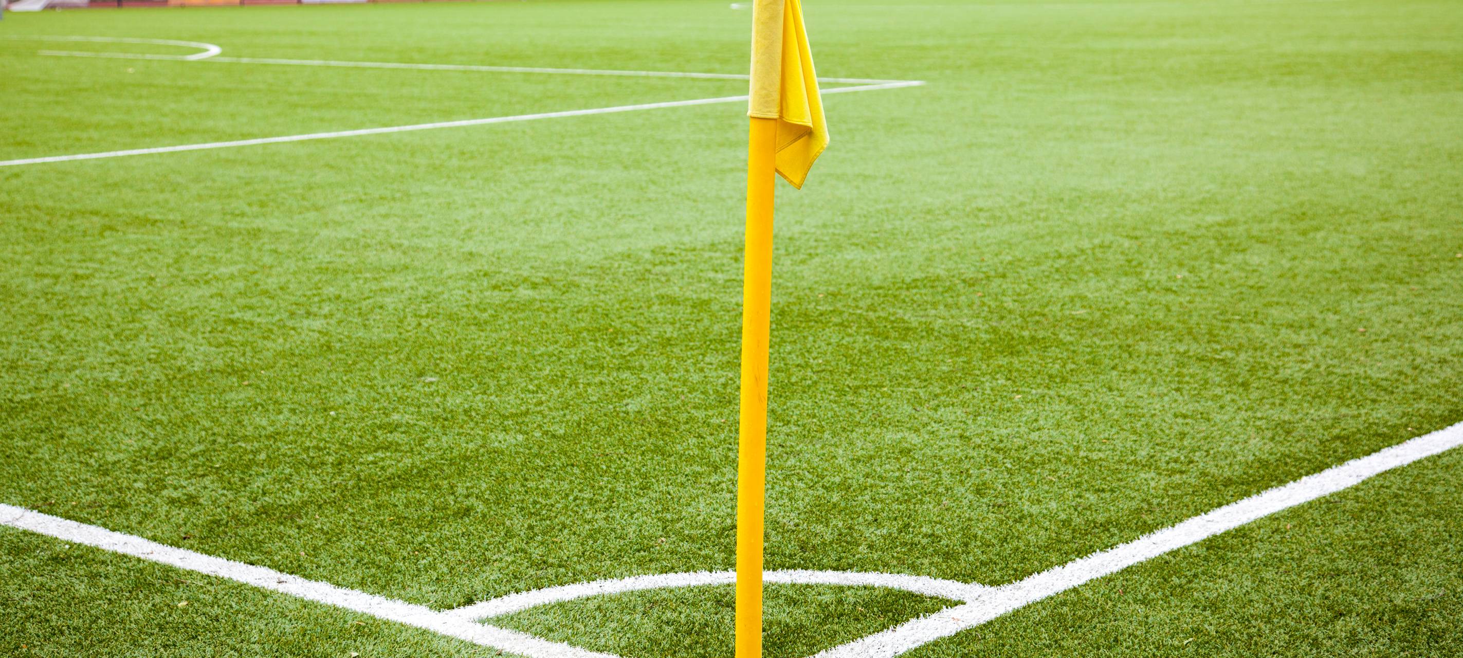 Kunstrasenplätze sollen bestehen bleiben
