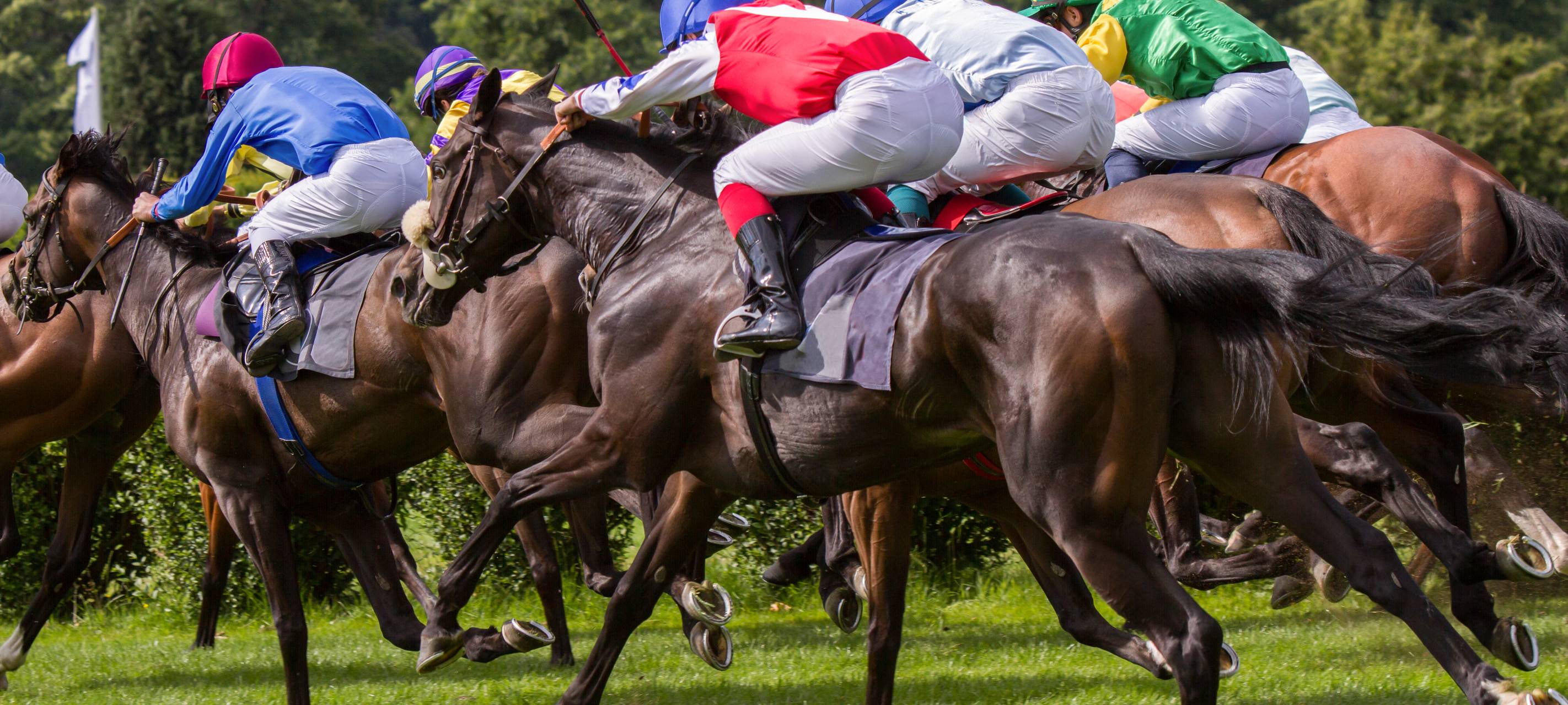 Letzter Renntag auf dem Grafenberg