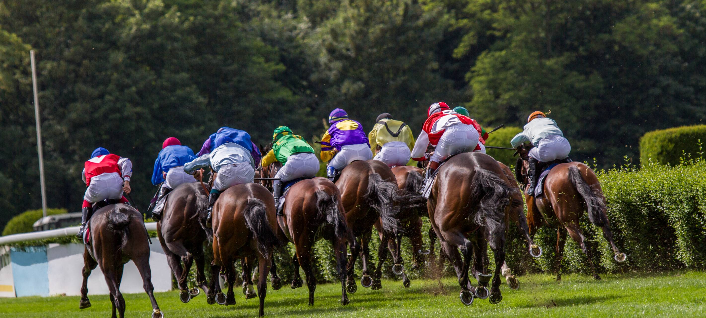 Düsseldorf - Galopprennen wieder mit Zuschauern