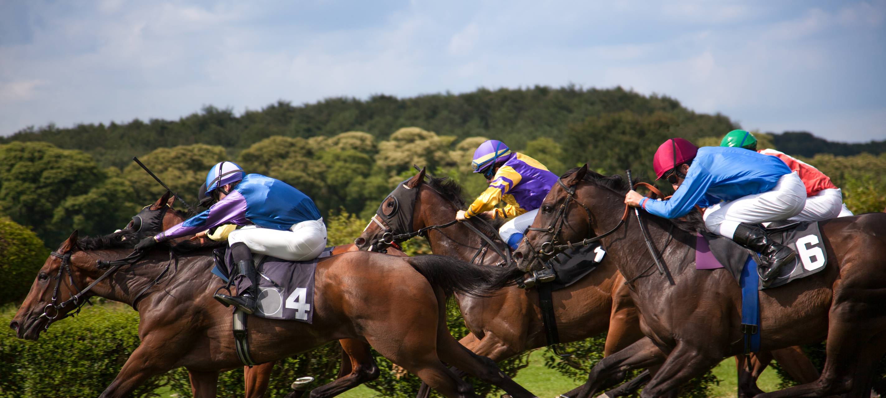 Afterwork-Renntag auf der Düsseldorfer Galoprennbahn