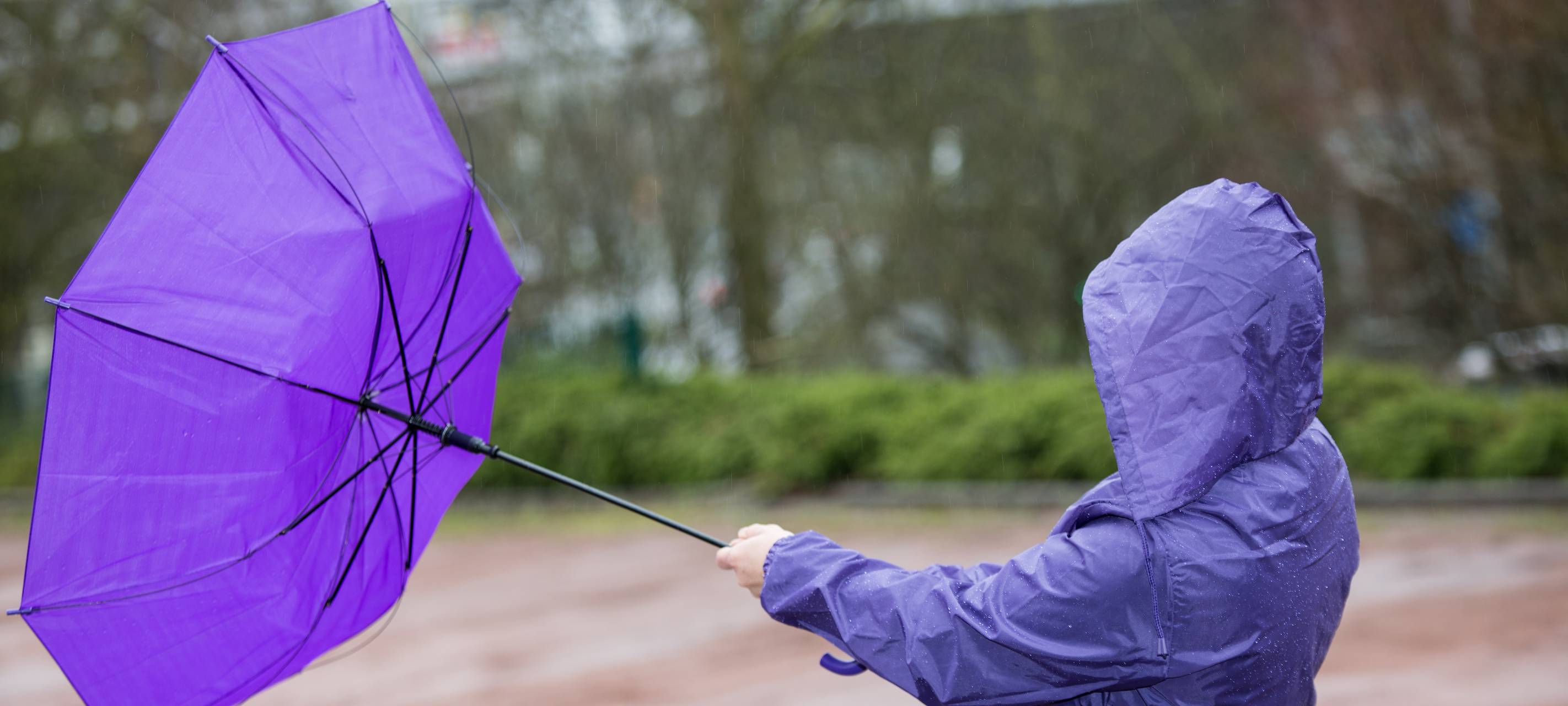 Sturmtief Xandra in Düsseldorf: Schule fällt aus