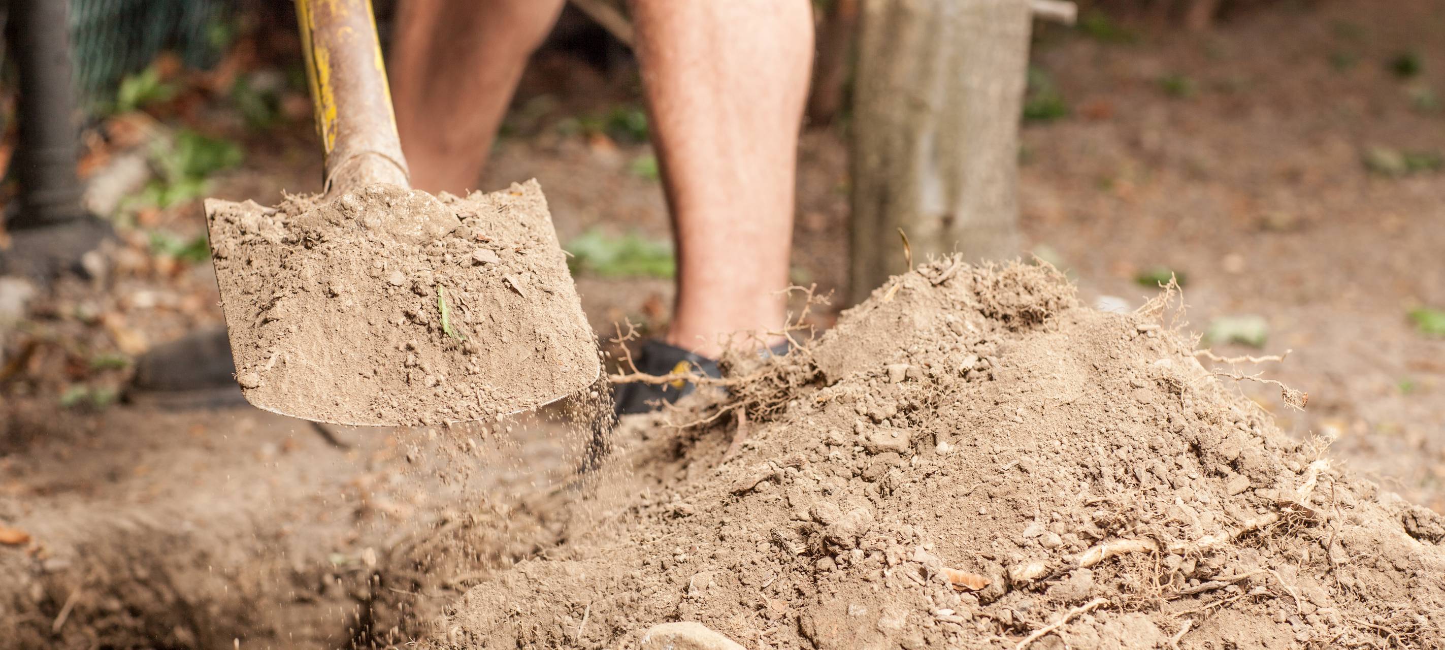 "Essbare Stadt": Die Stadt fördert Gemüse- und Obstanbau