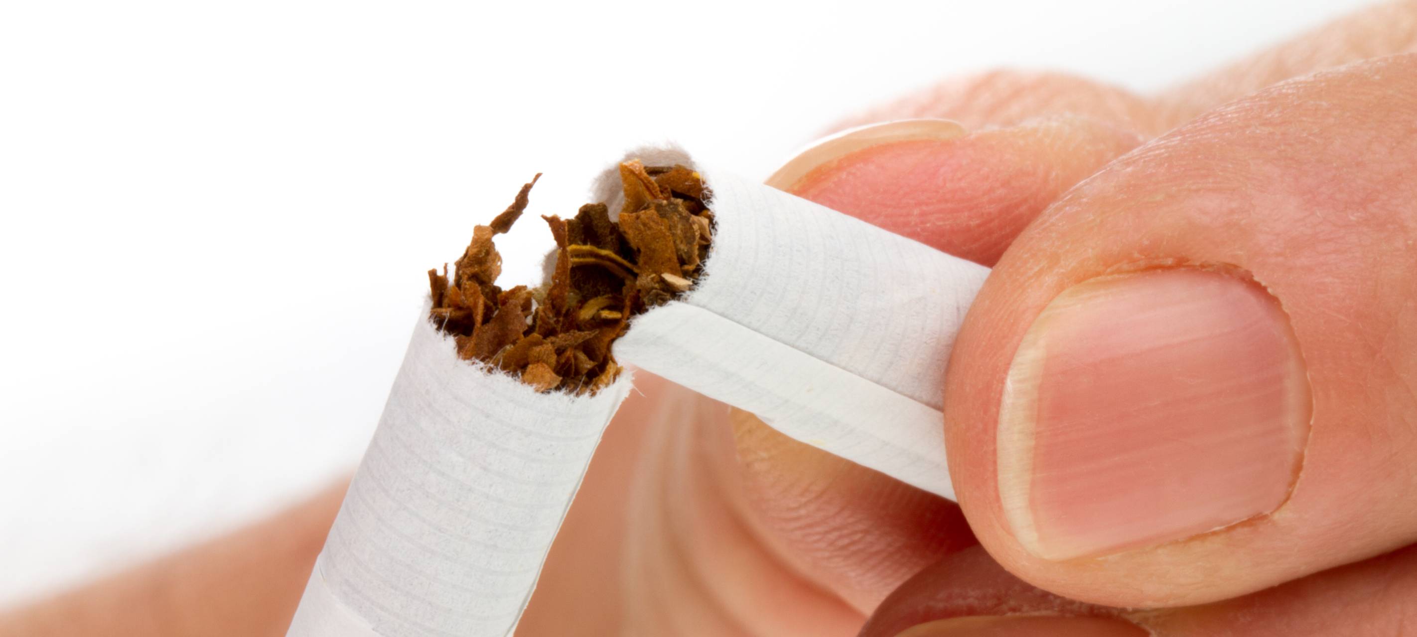 Sammelaktion "Rheinkippen" in Düsseldorf gestartet