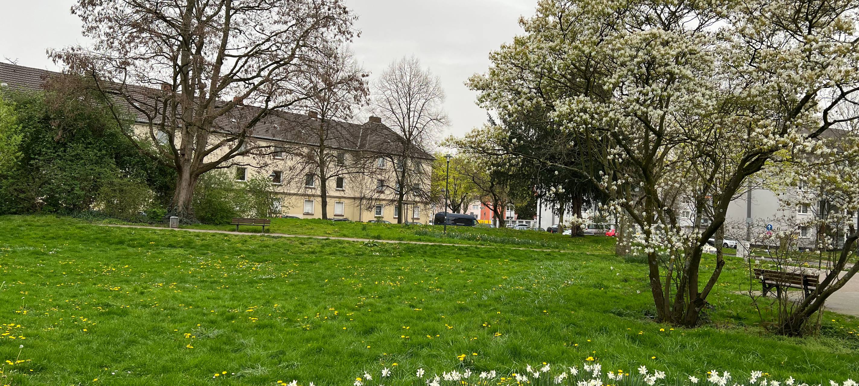 Lierenfeld: Ein Stadtteil im Wandel der Zeit