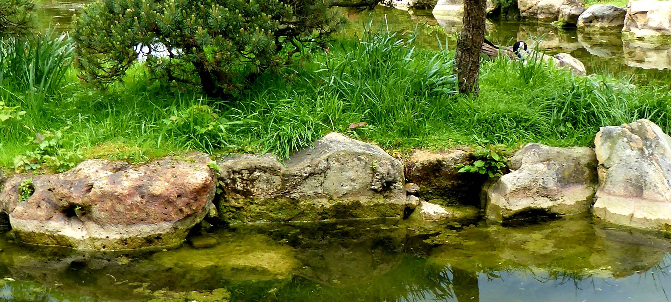 "Little Tokyo" - Düsseldorfs japanisches Viertel