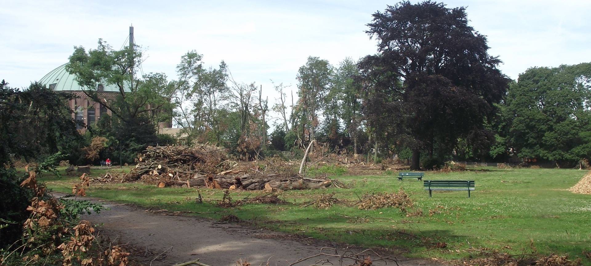 Wälder und Parks in Düsseldorf fast wieder aufgeforstet